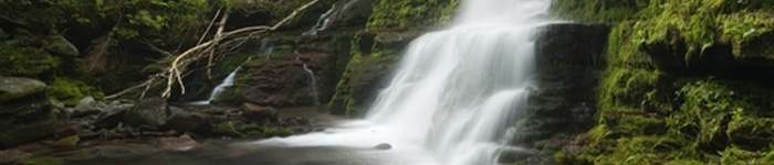 reservations reservations