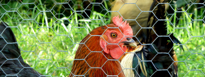 Products Top Products Top