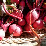 red-turnips red-turnips